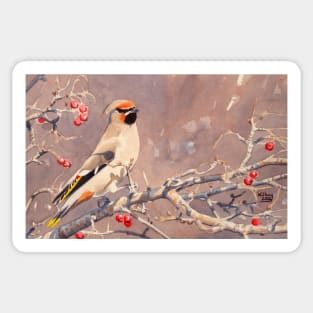 Bohemian Waxwing Sticker